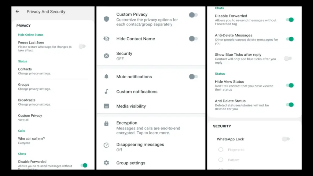 GB WhatsApp customization features